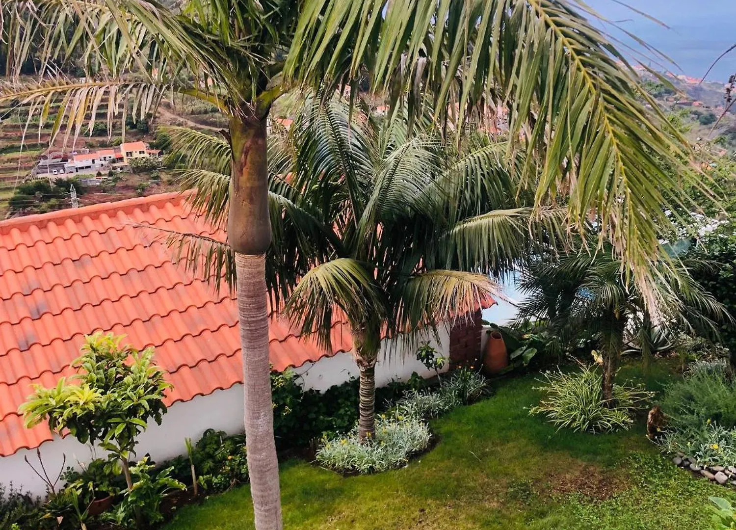 بيت للعطل House In Canico Ribeirinha  البرتغال